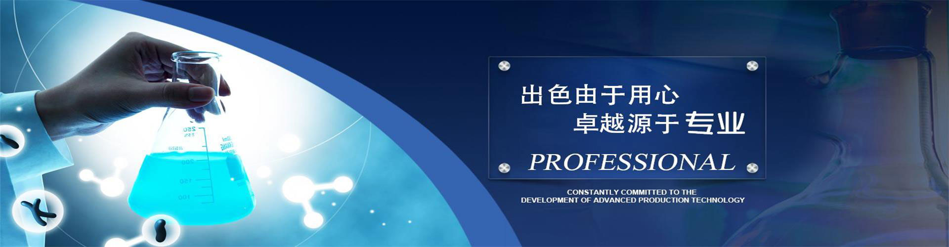 关于我们 > 企业概况